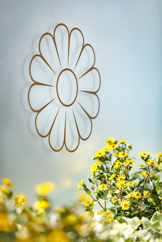 Фото Hotel Jardin