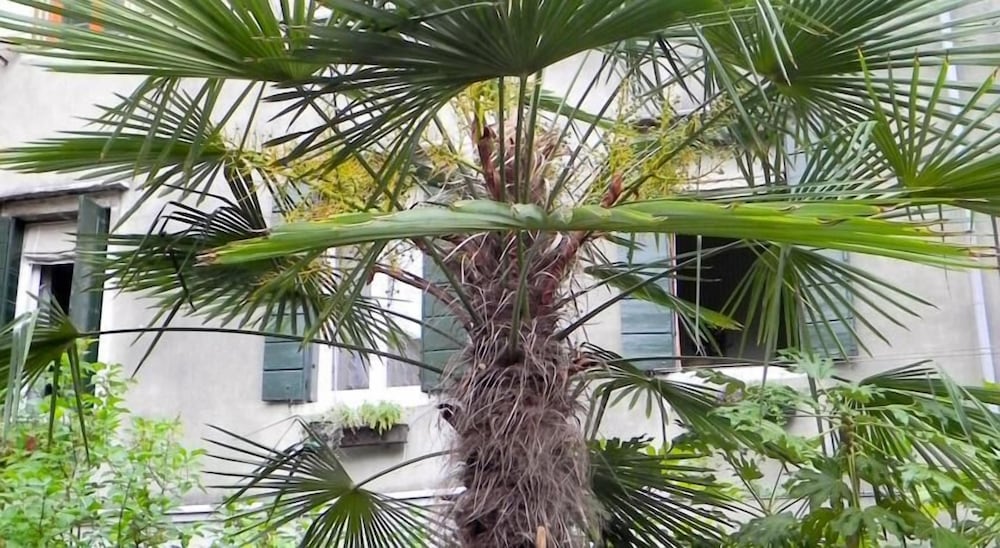 Фото Palazzo Soderini