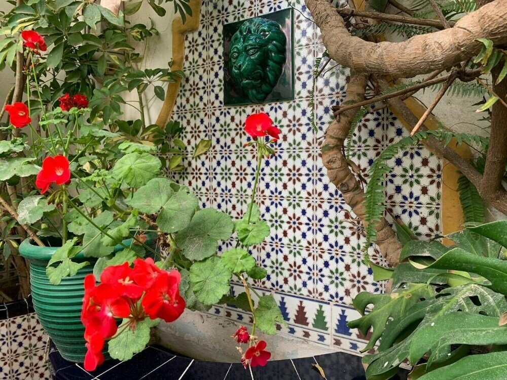 Фото Hostal San Felipe