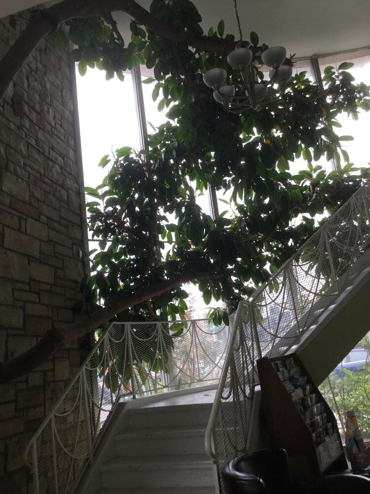 Фото Bevonshire Lodge Motel