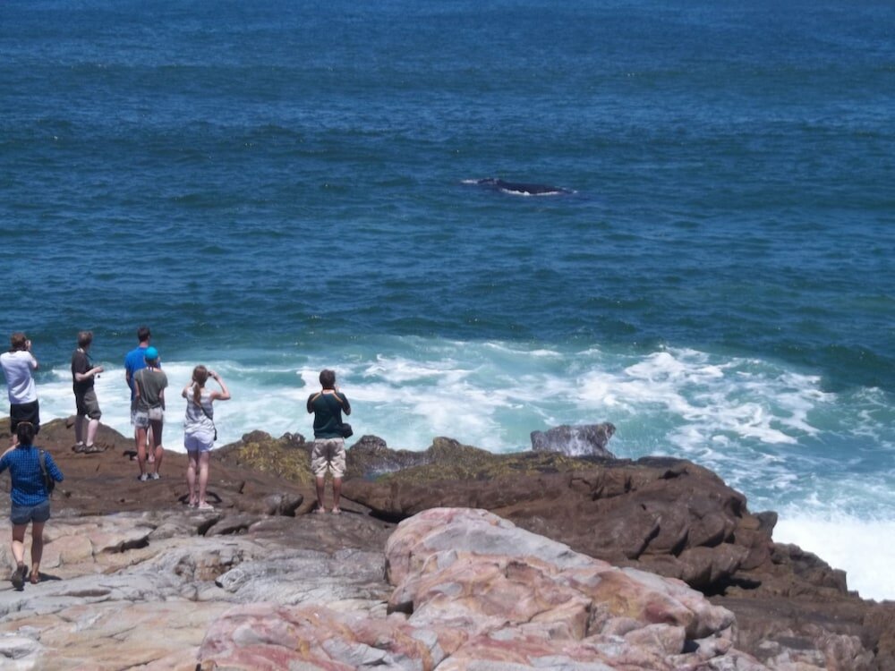 Фото Windsor Hotel