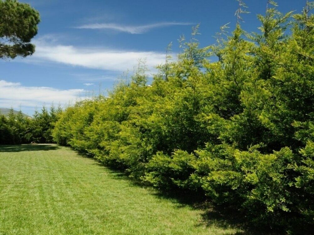 Фото Villa Maria Pia