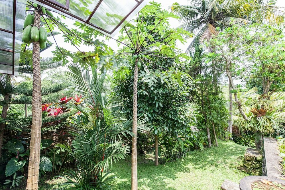 Фото Villa Cinta