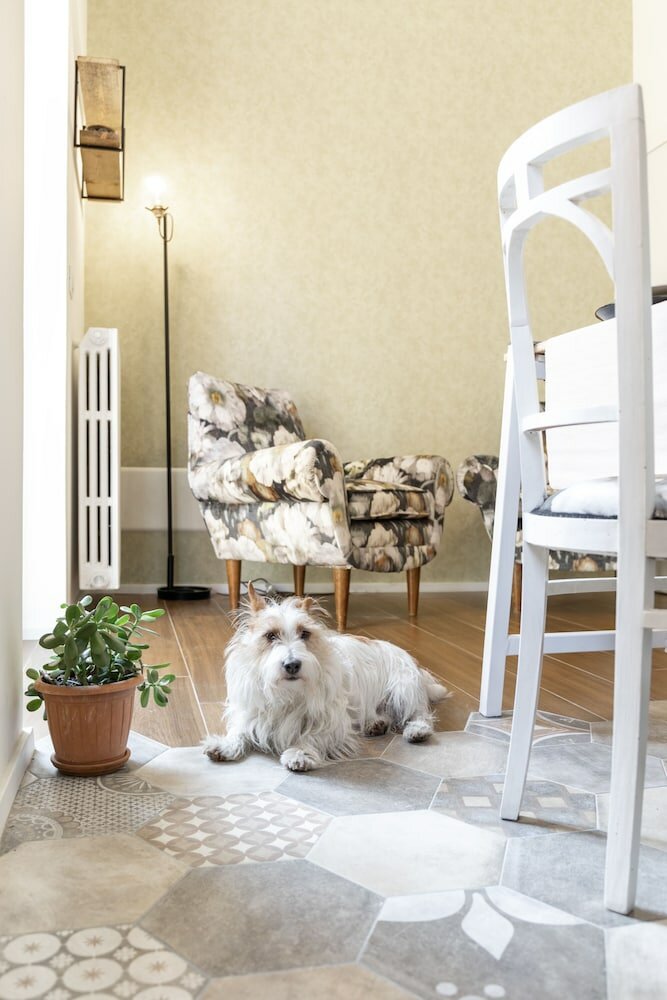 Фото Happy Travelers Apartment