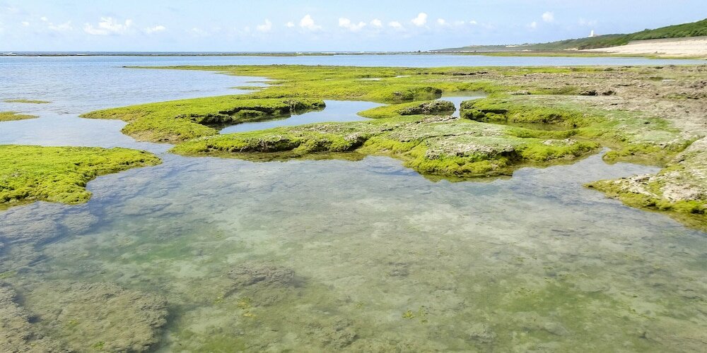 Фото Comfort stay Goyukkuri