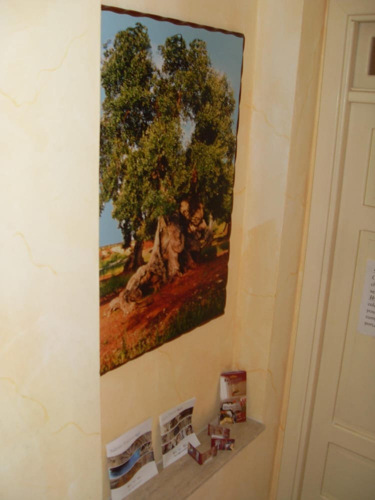 Фото B&b Frammenti D'Itria