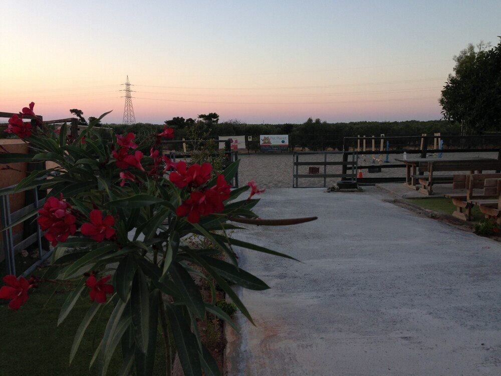 Фото Arion Stables & Apartments