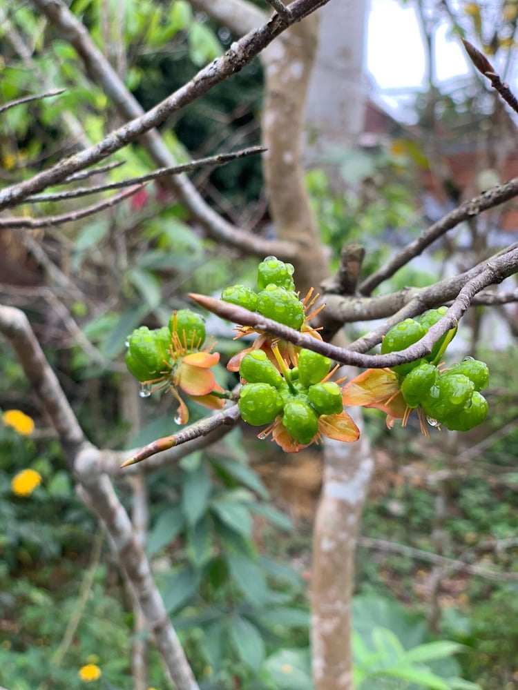 Фото Khanh's Home