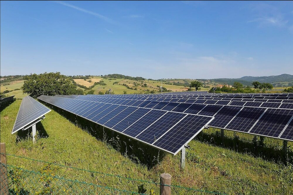 Фото B&b Terenzi Winery