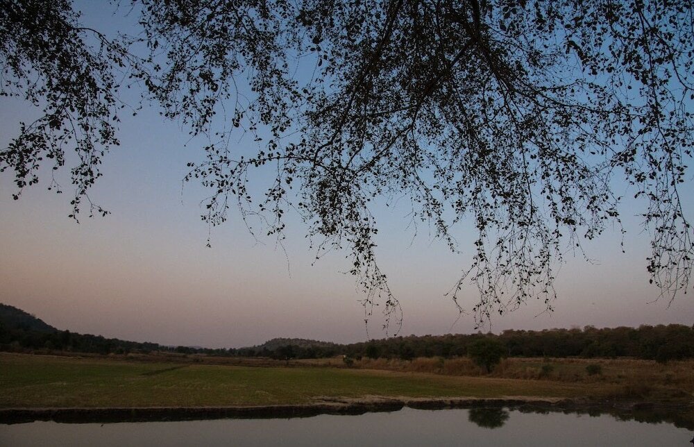 Фото Padmavati Lake Resort