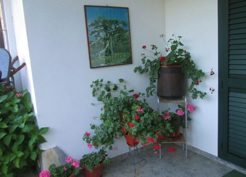 Фото B&b Sole Del Pollino