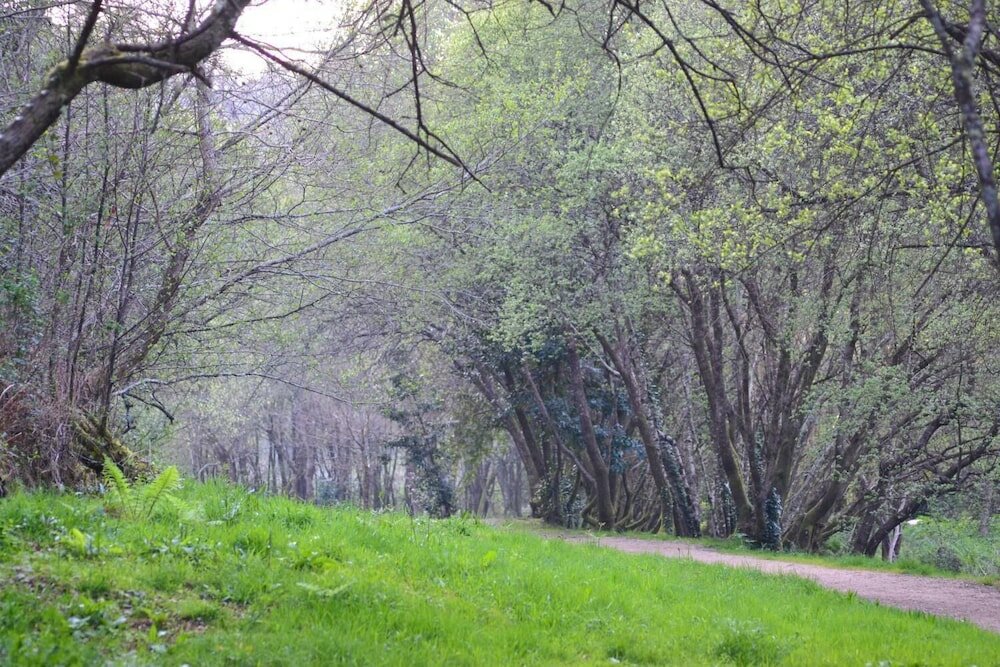 Фото Hotel Real Cambados