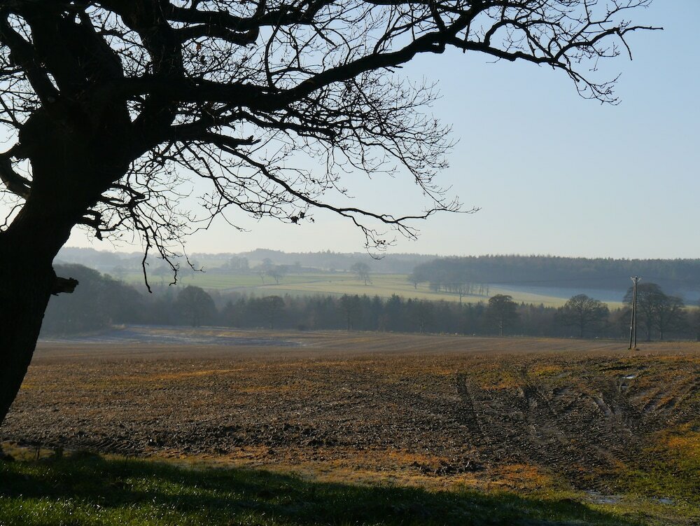 Фото Riding Farm Cottages