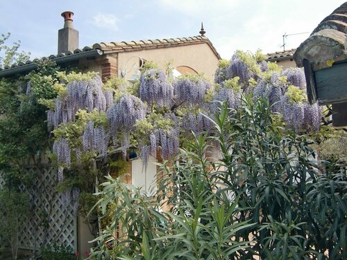 Гостиница La Villa des Violettes в Тулузе