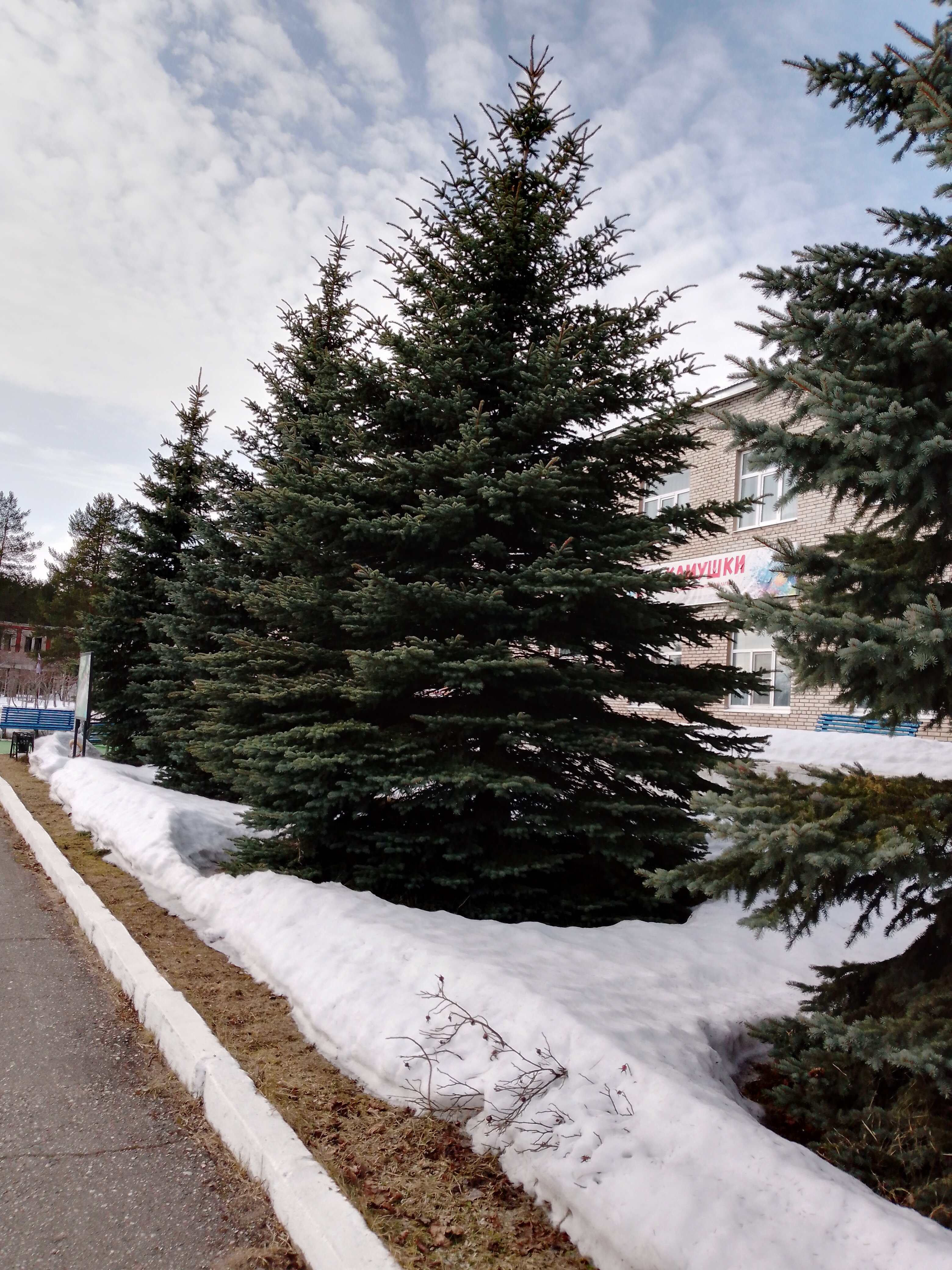 Фото Каменная гора