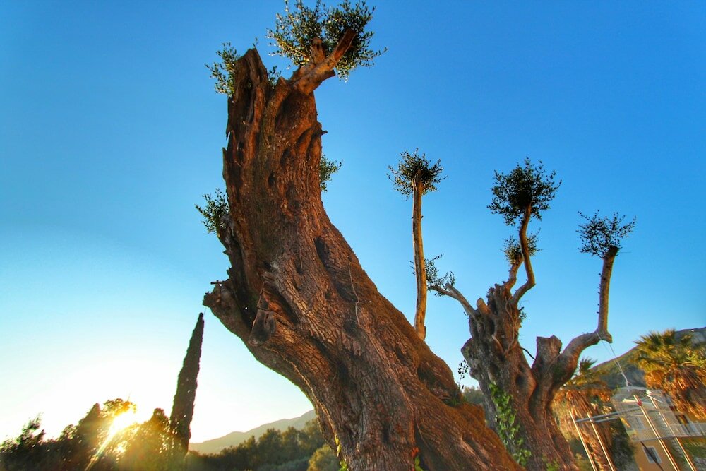 Фото Avra Sunset Sea View Liapades