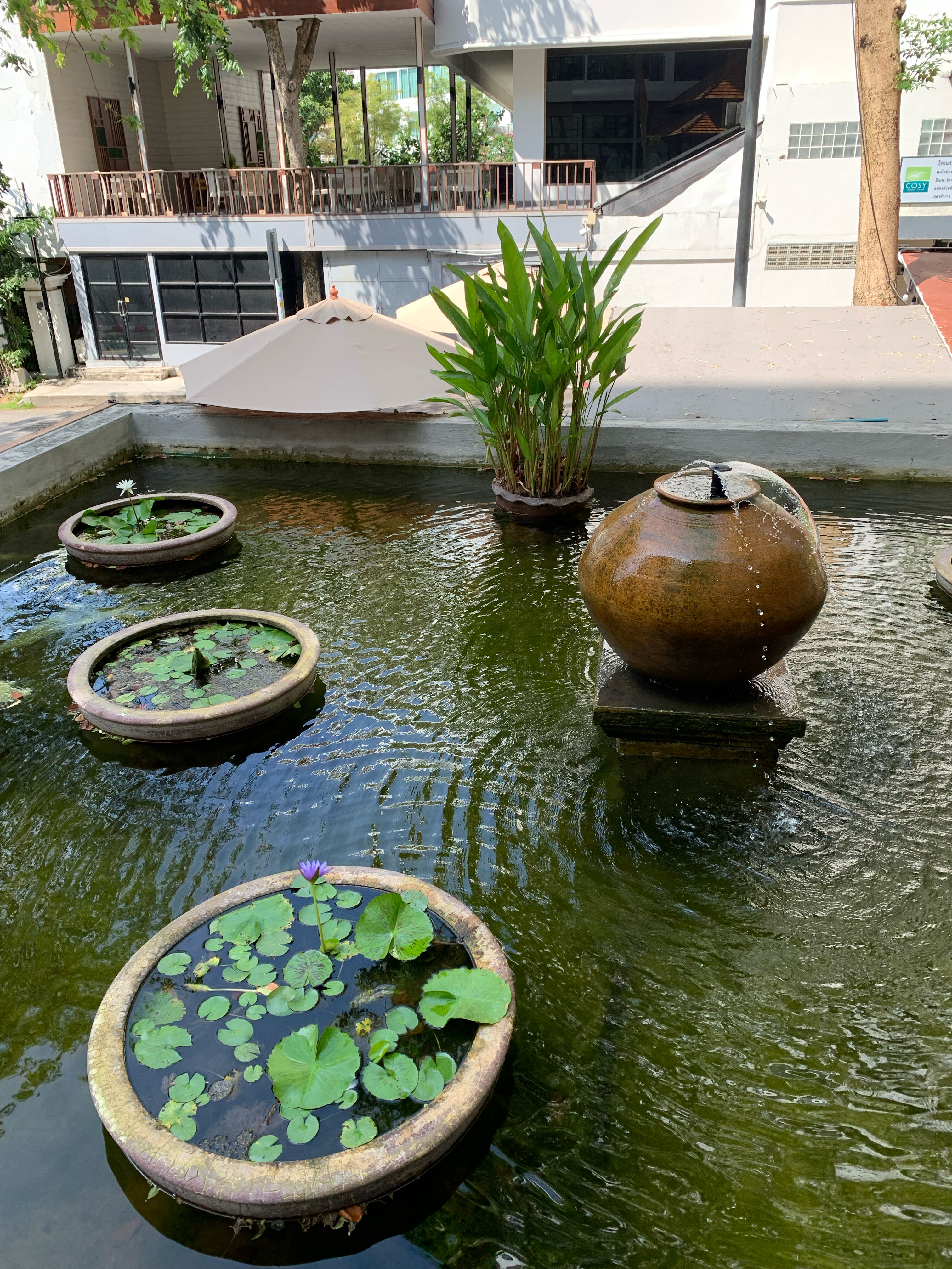 Фото Cosy Beach Hotel