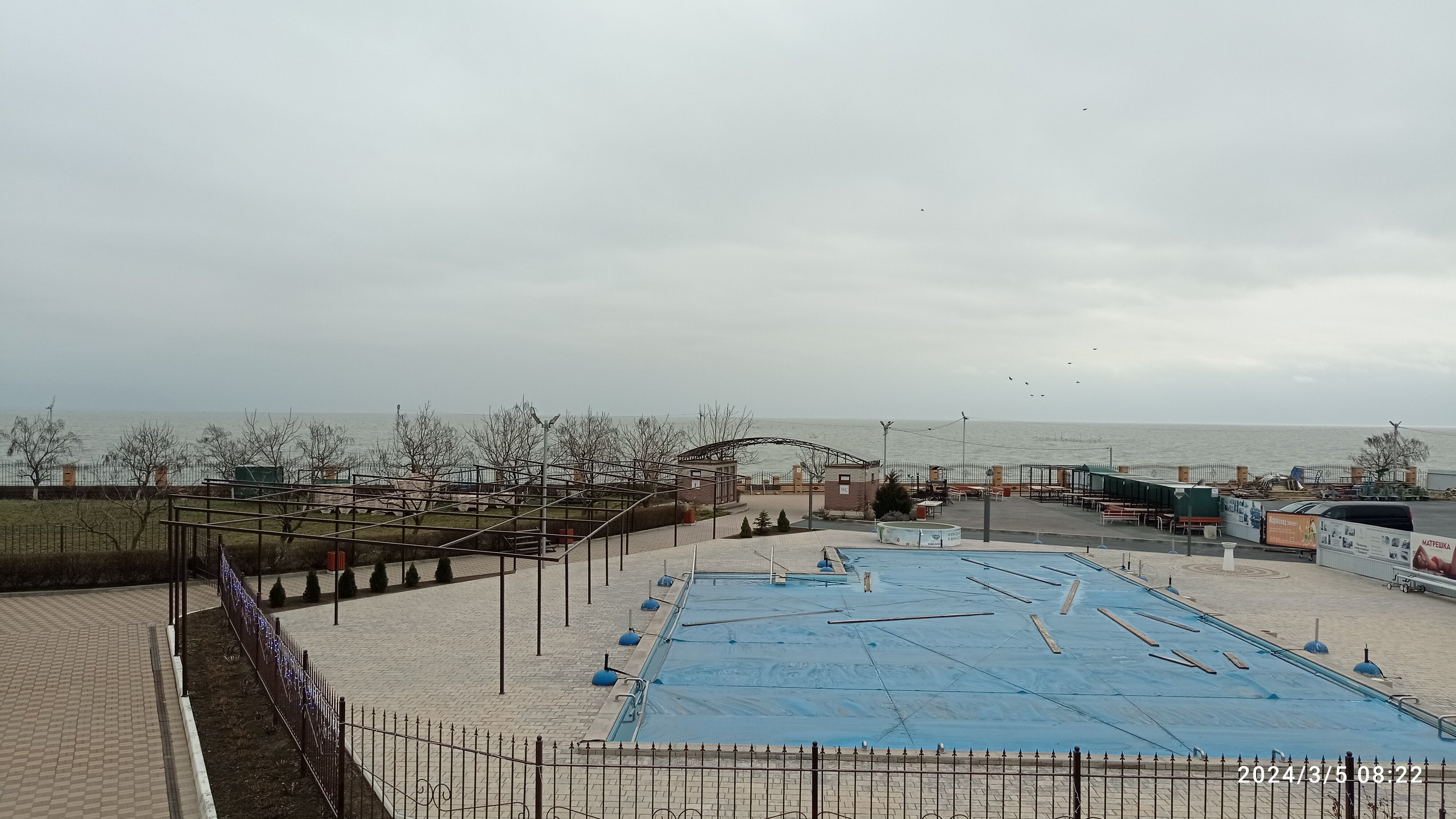 Фото Star Crystal