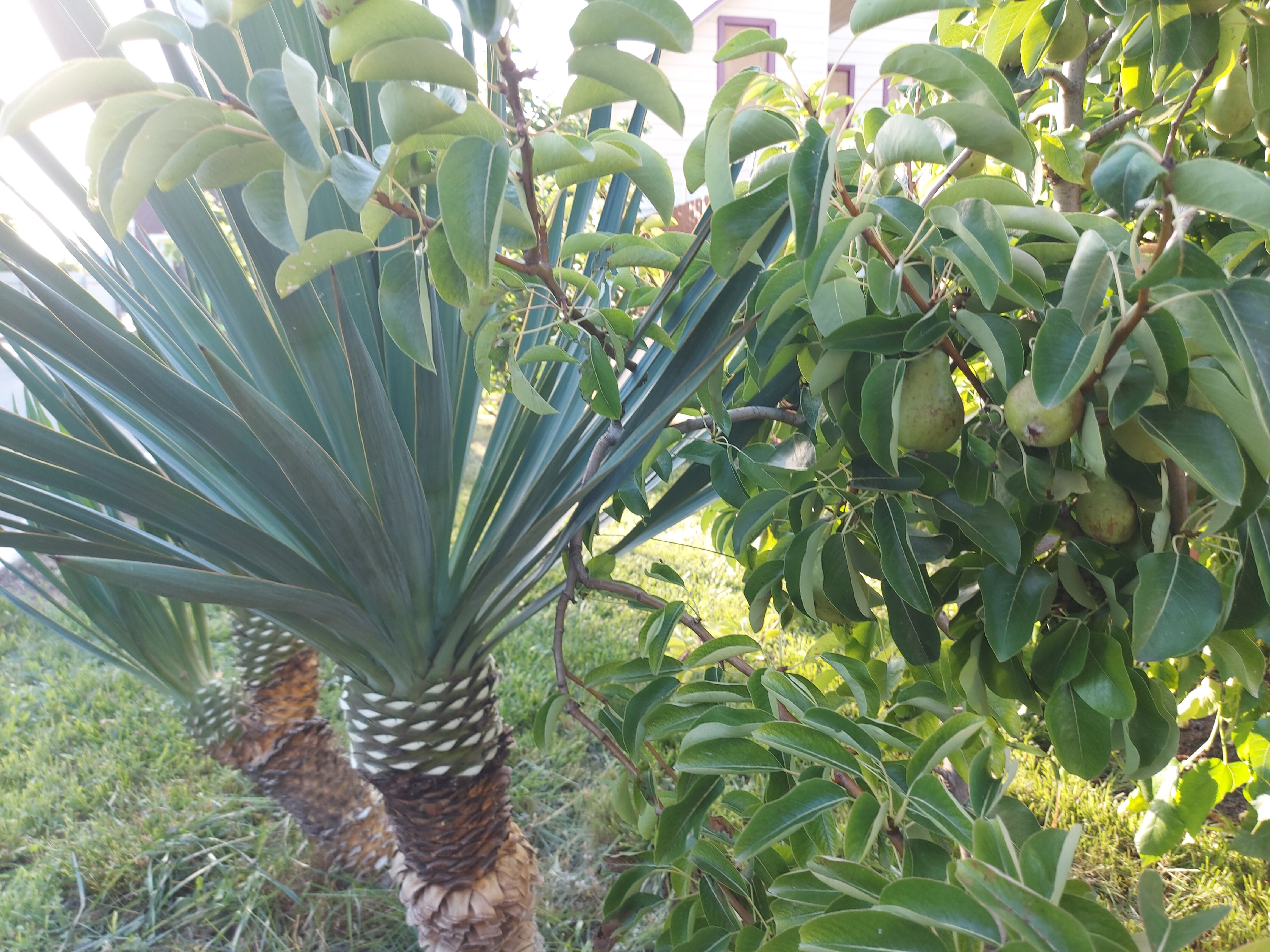 Фото Центральный