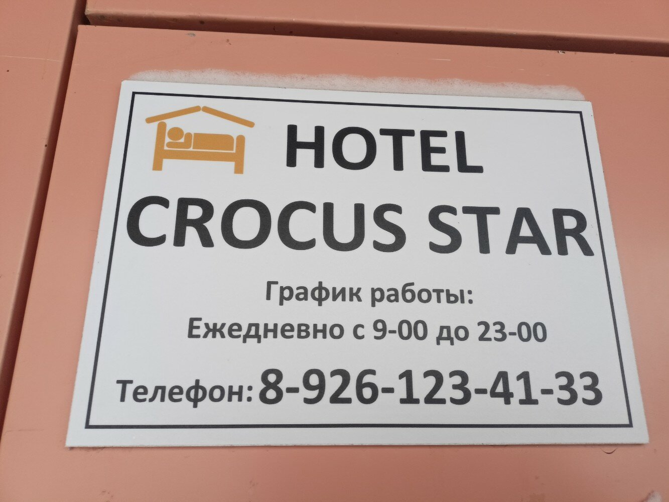 Фото Crocus Star