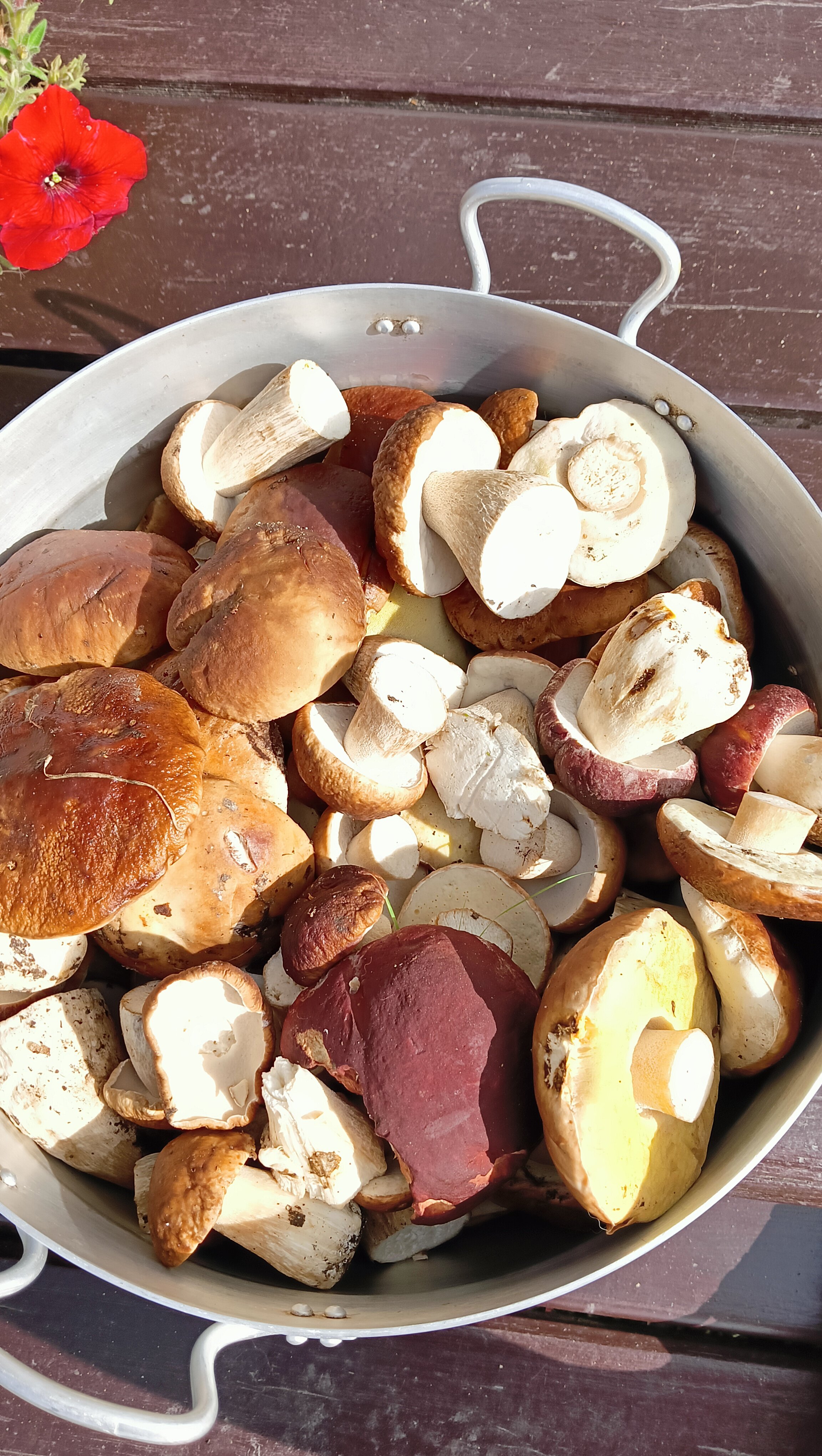 Фото Сказочный берег