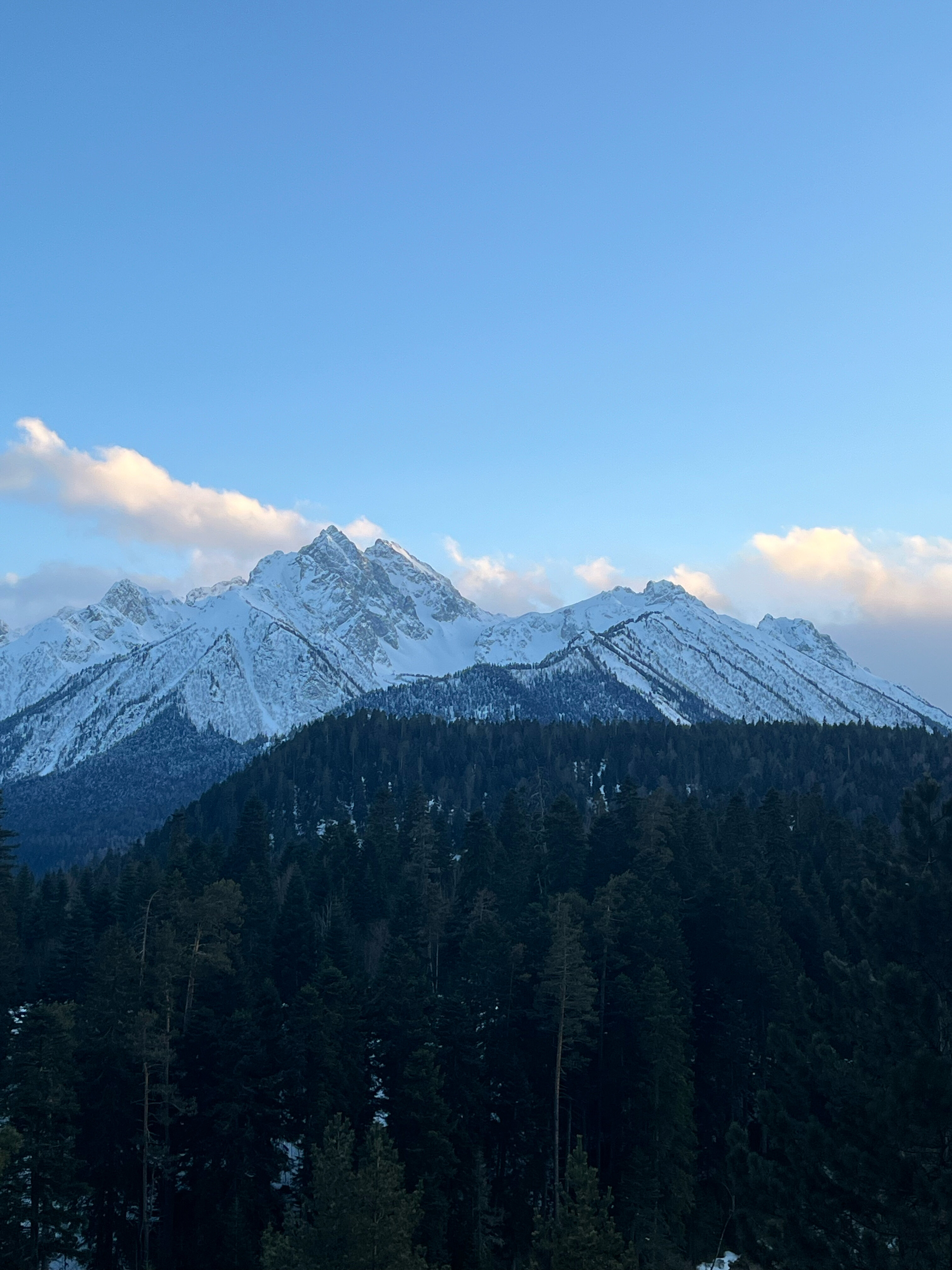 Фото Вудберг