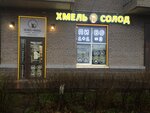 Khmel' Solod (Oblastnaya Street, 1), cervecería