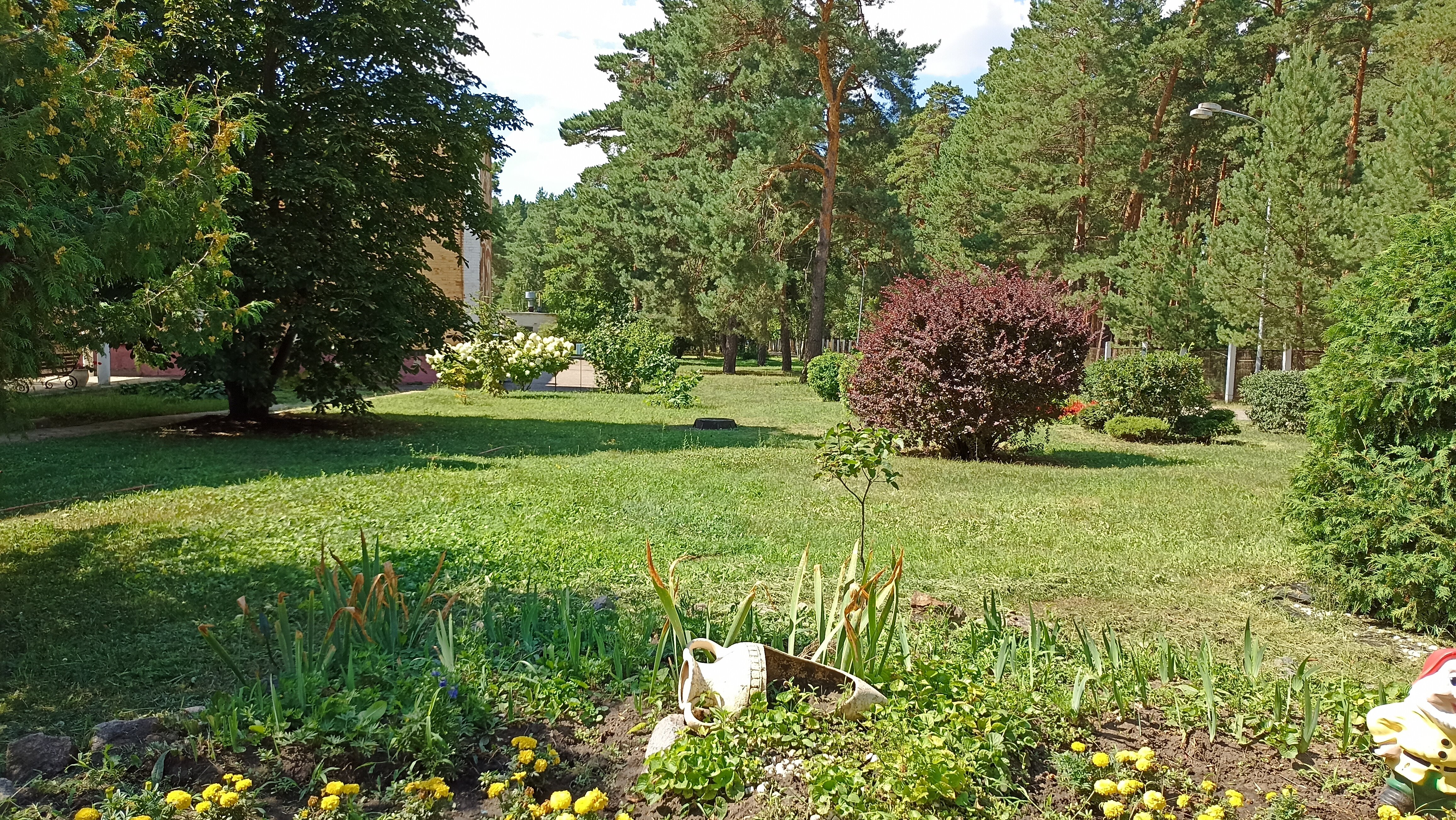 Фото Лесная жемчужина