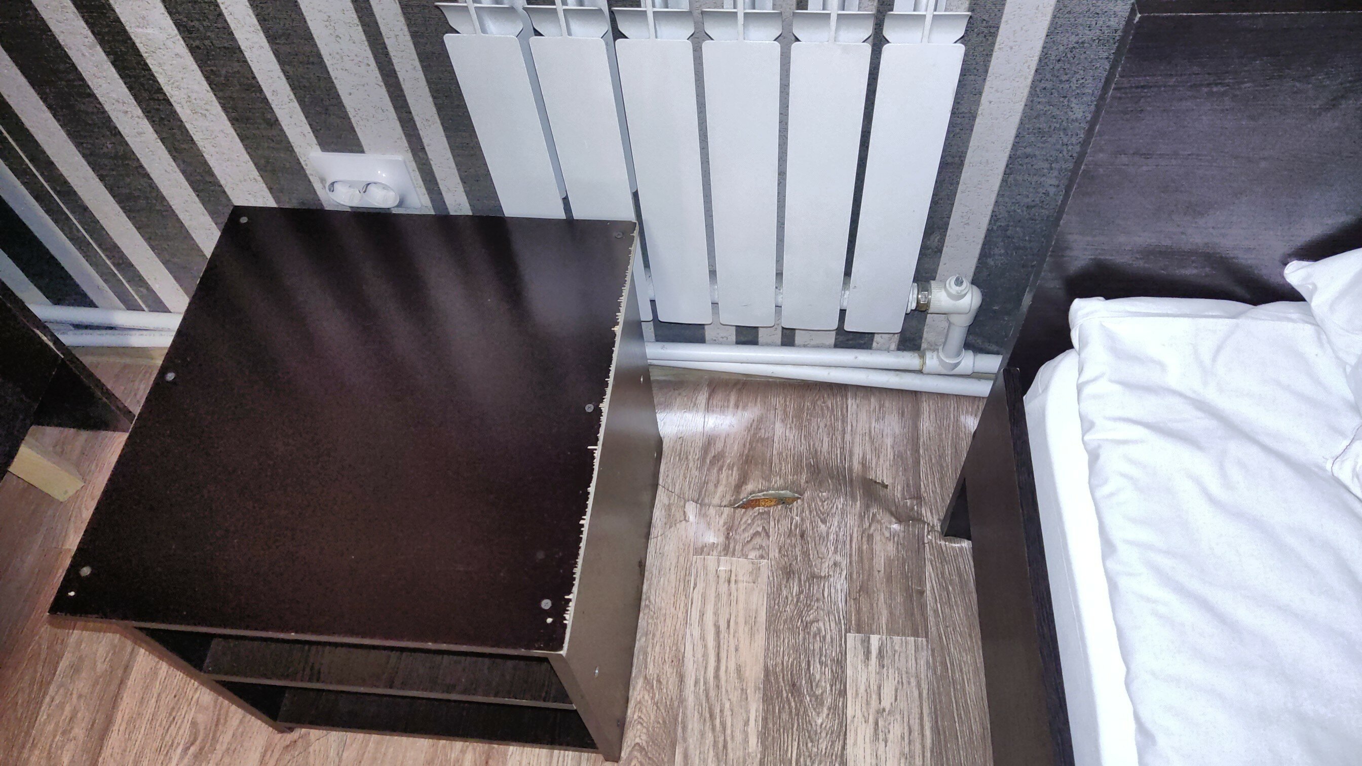 Фото Базилик