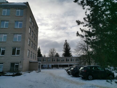 Specialized hospital Vitebsk Regional Clinical Center of Psychiatry and Addiction, Vitebsk District, photo