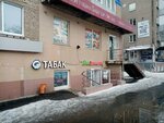 Ezh V Tumane (Pervomaiskaya Street, 53), estanco
