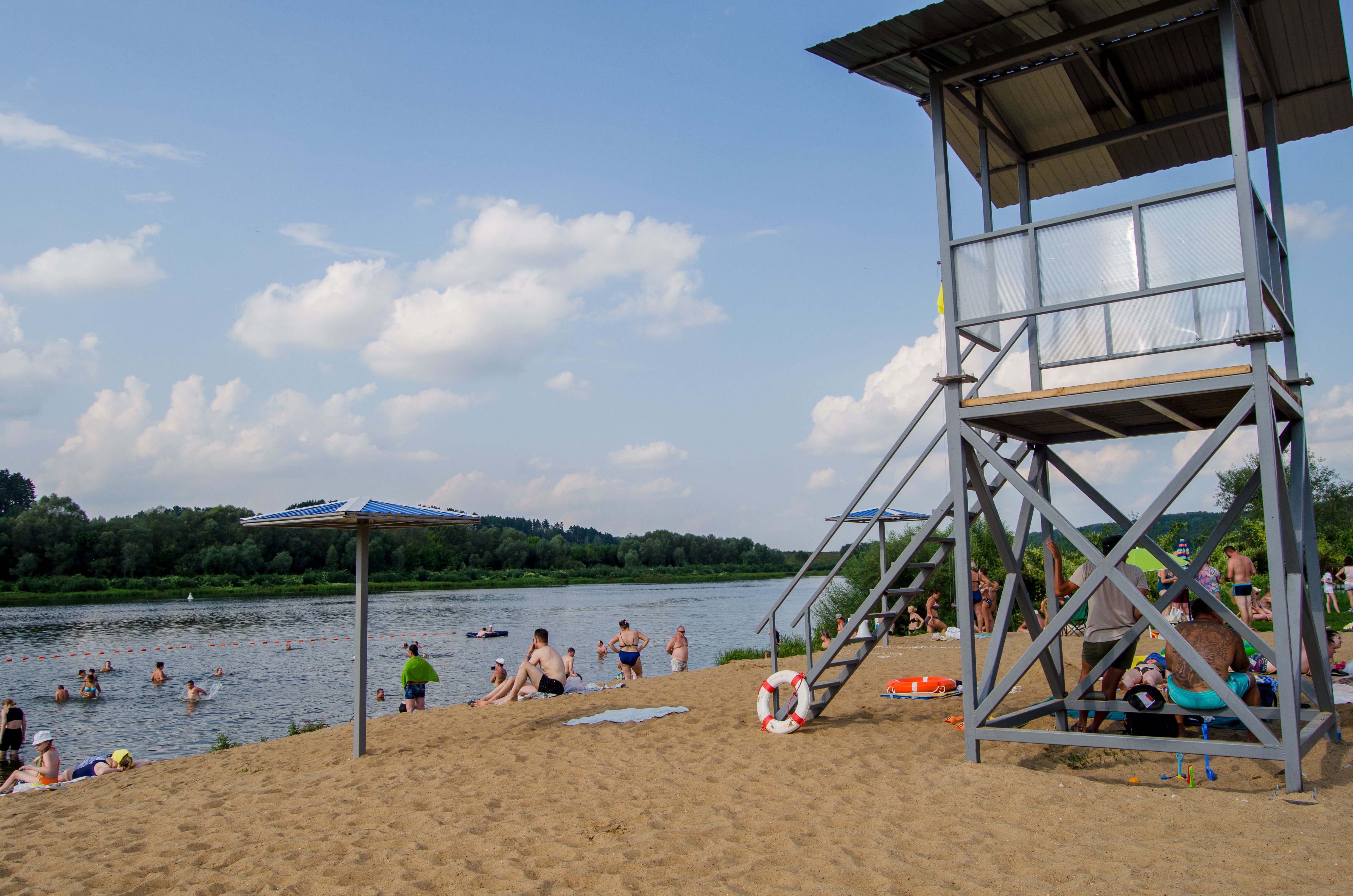 Фото Берёзовая роща