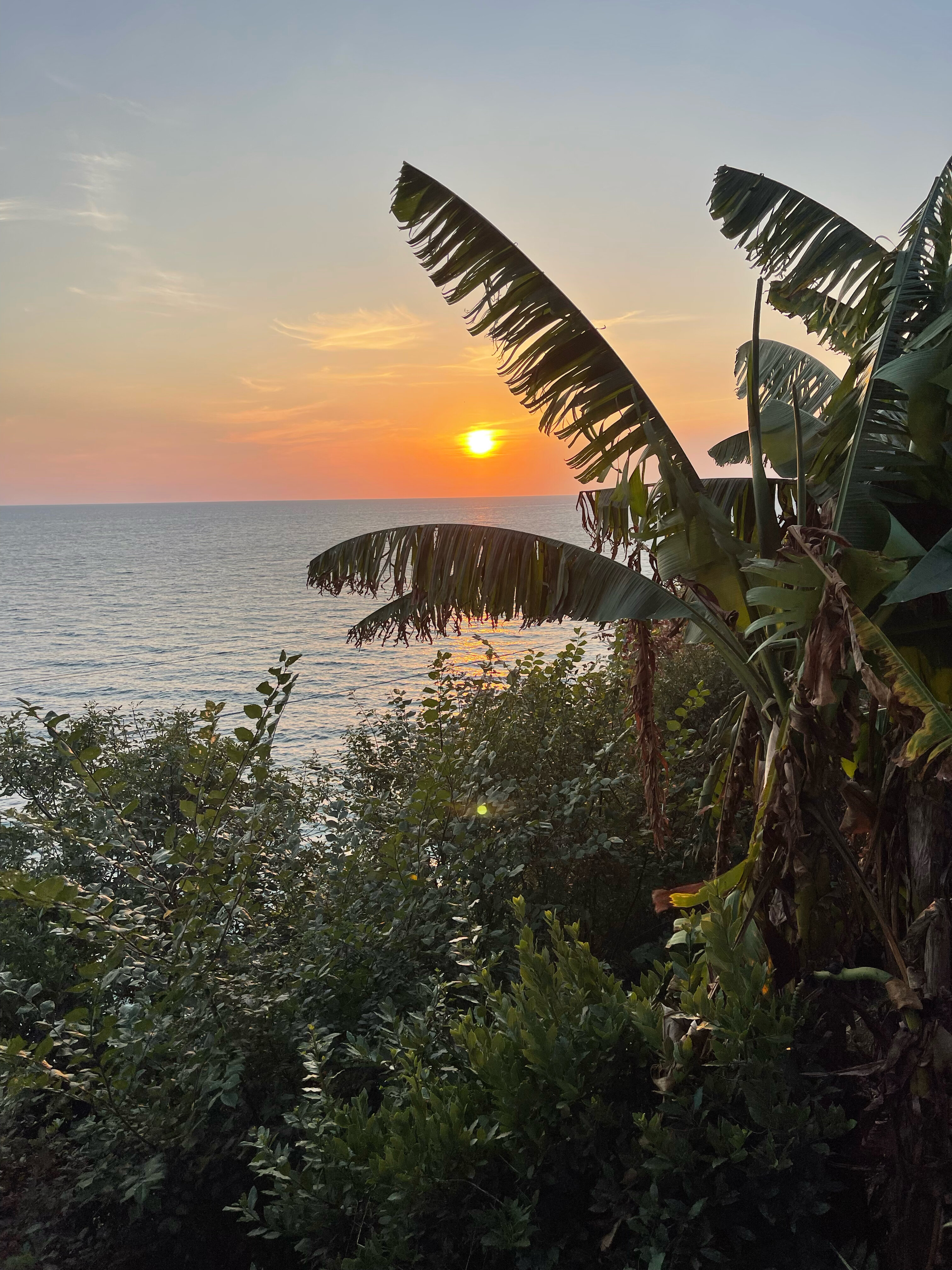 Фото Чемитка