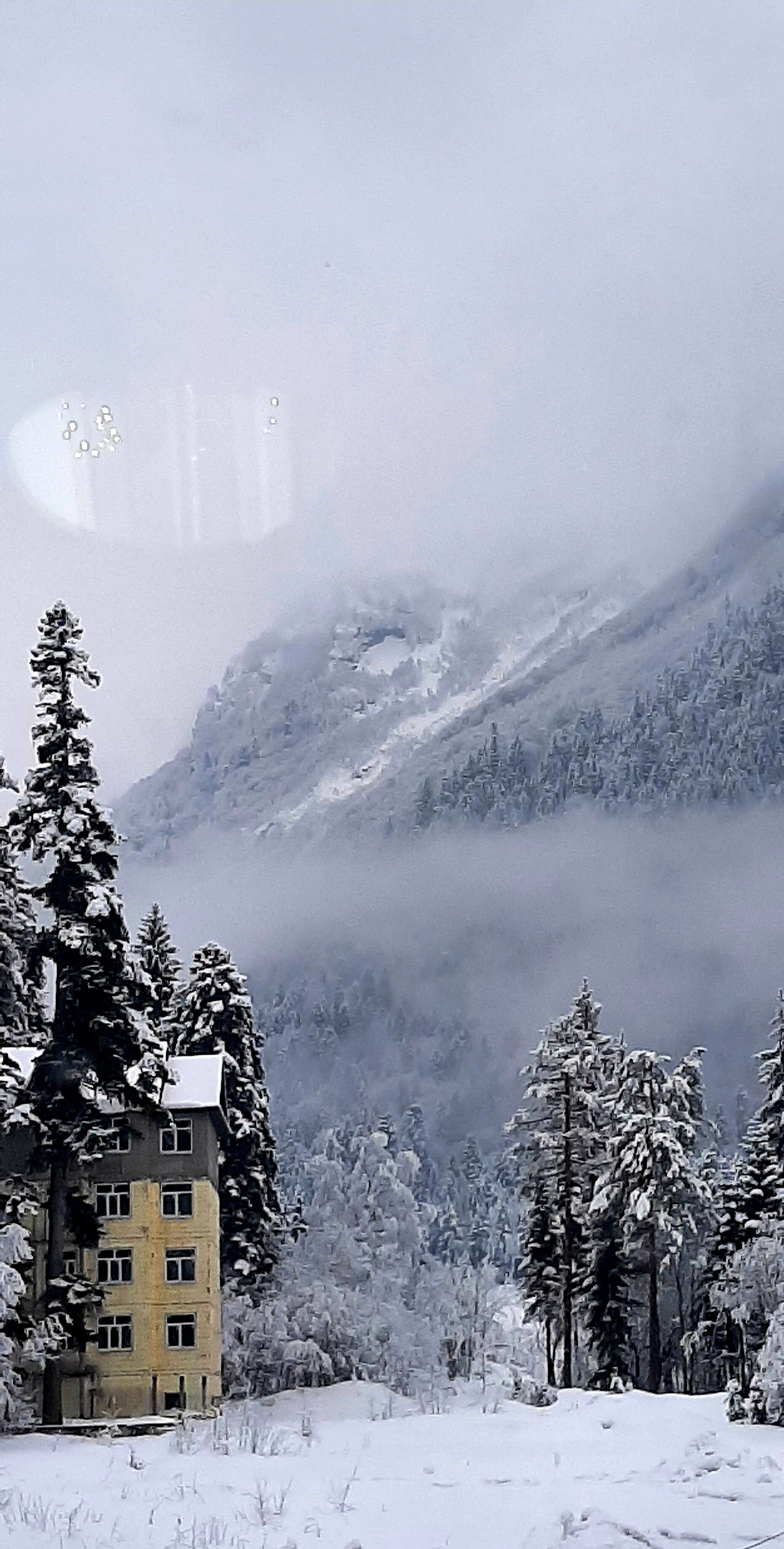 Фото Белые ночи