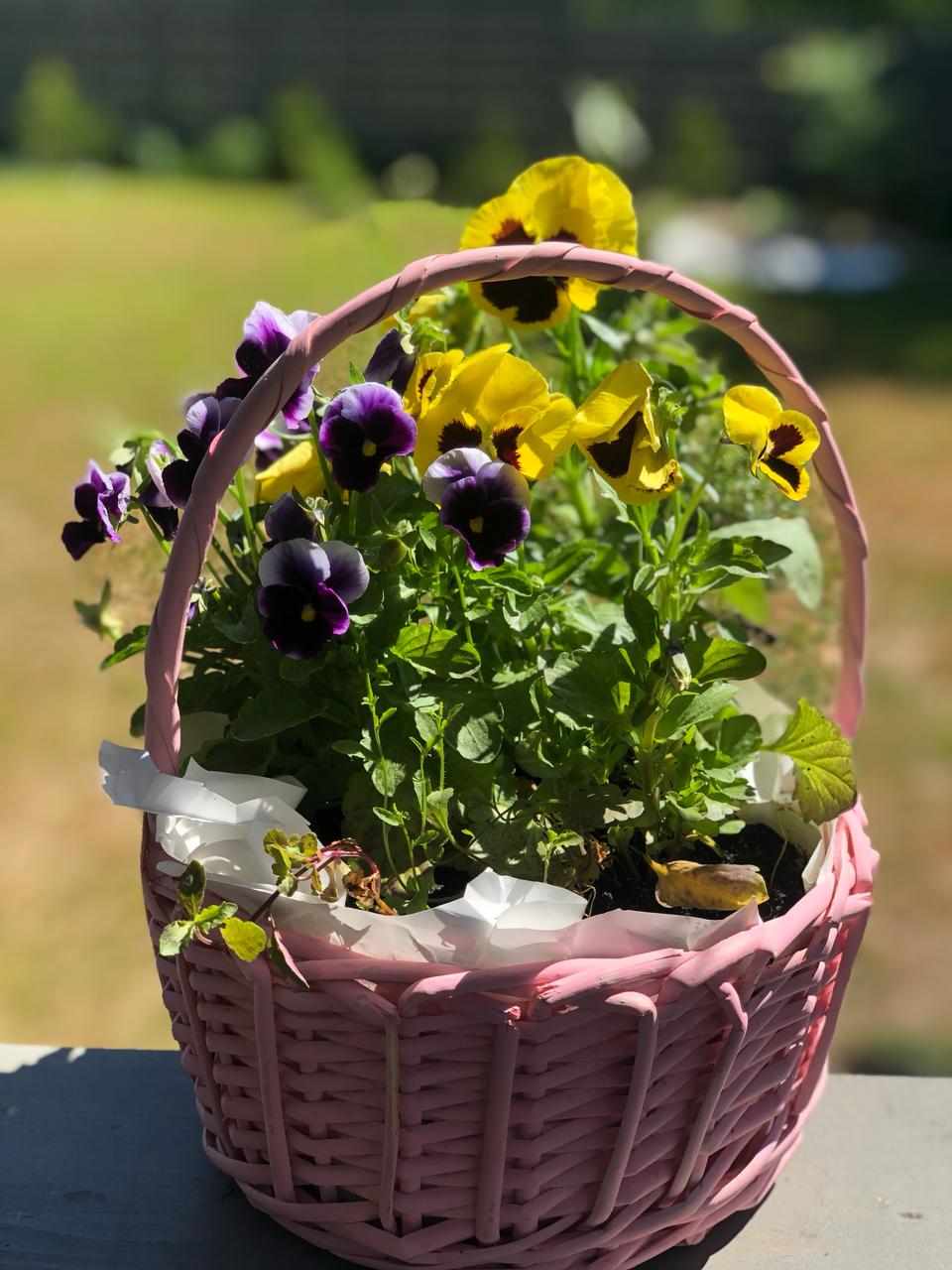 Фото Рузские Горки