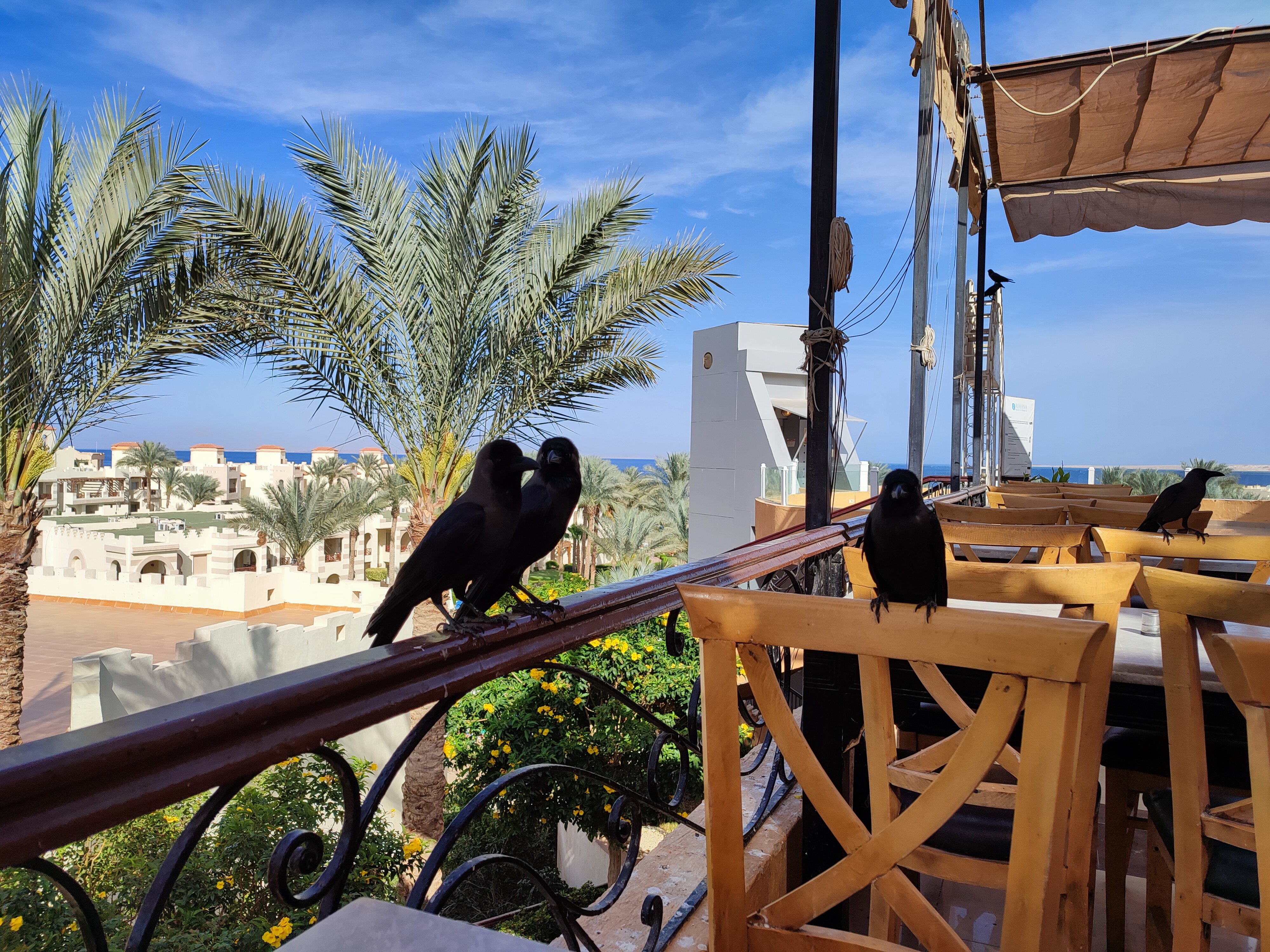 Фото Rehana Royal Beach Resort - Aquapark & SPA