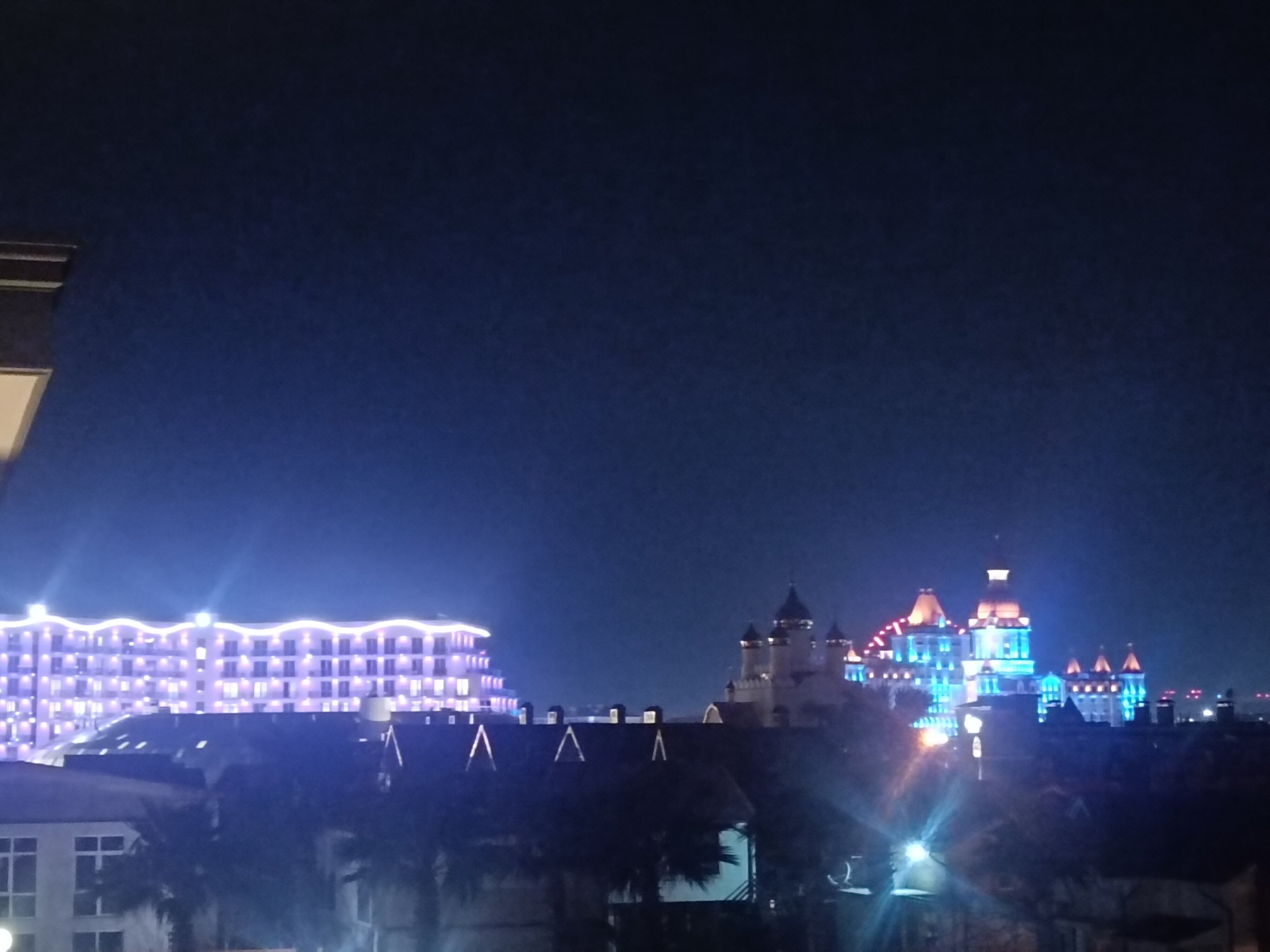 Фото Две оливы