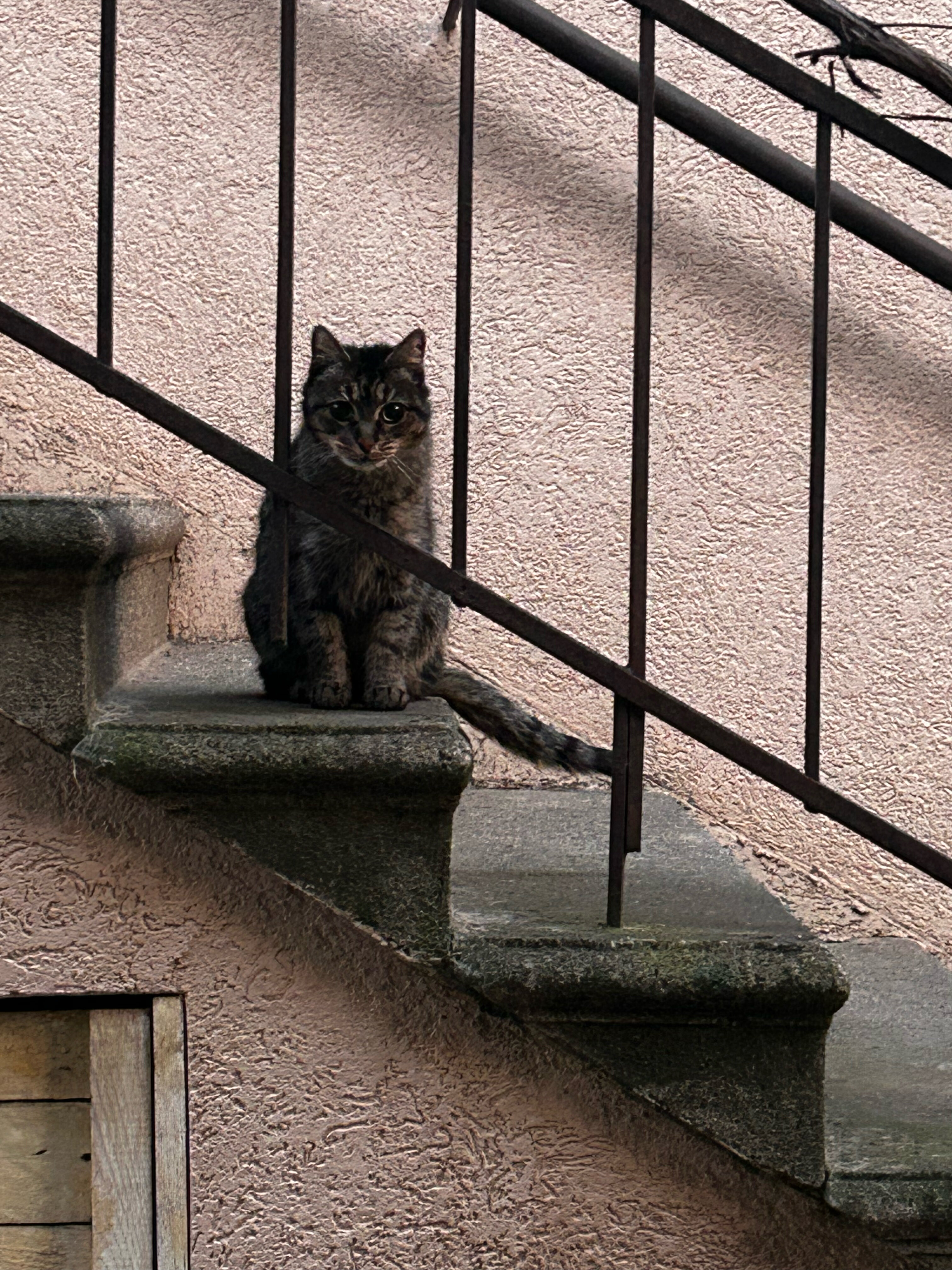 Фото Время Че