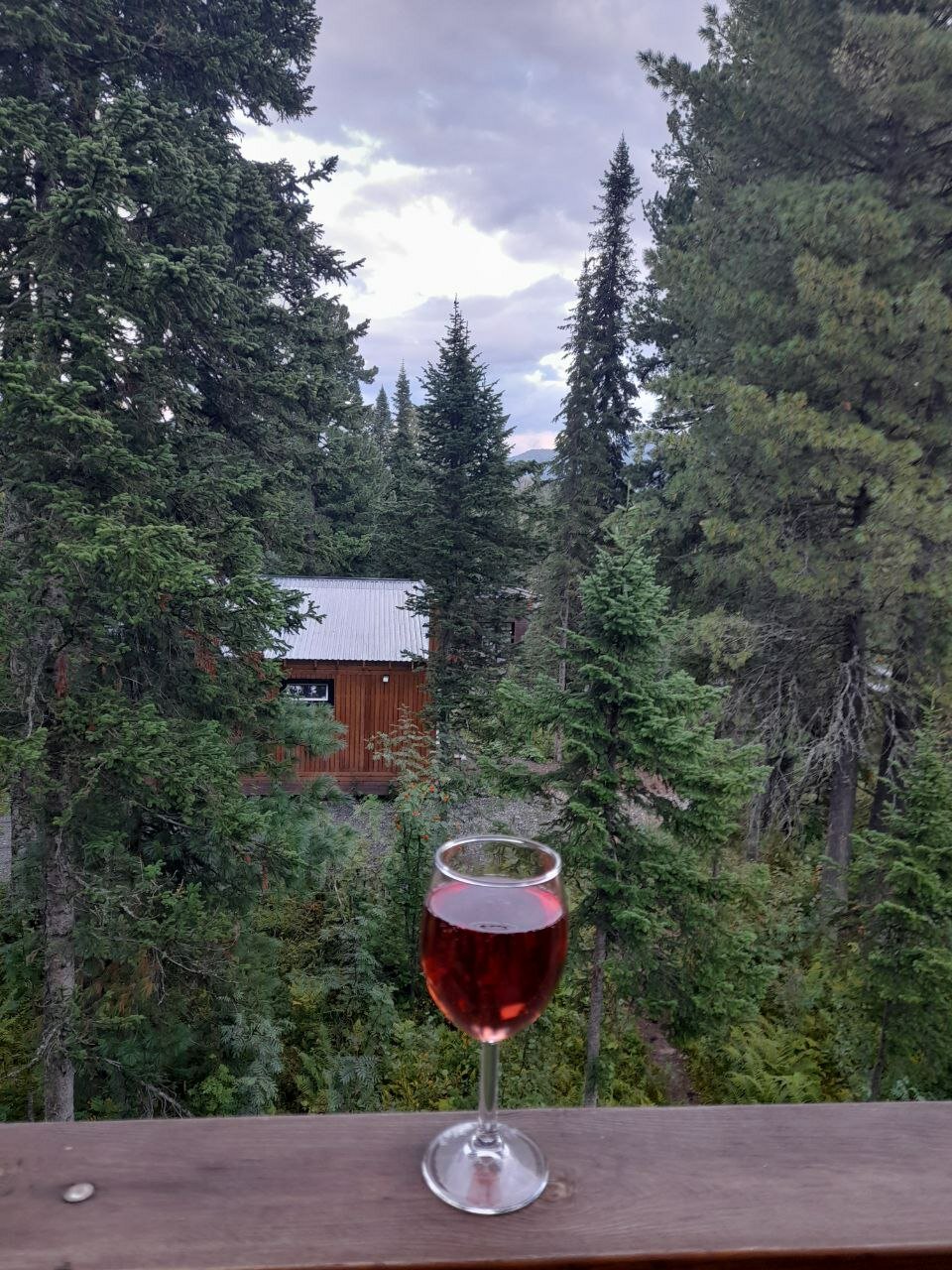 Фото Альпика Хаус