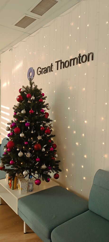 Business consulting Business Analysis by Grant Thornton! Visit gt-bi.kz, Almaty, photo