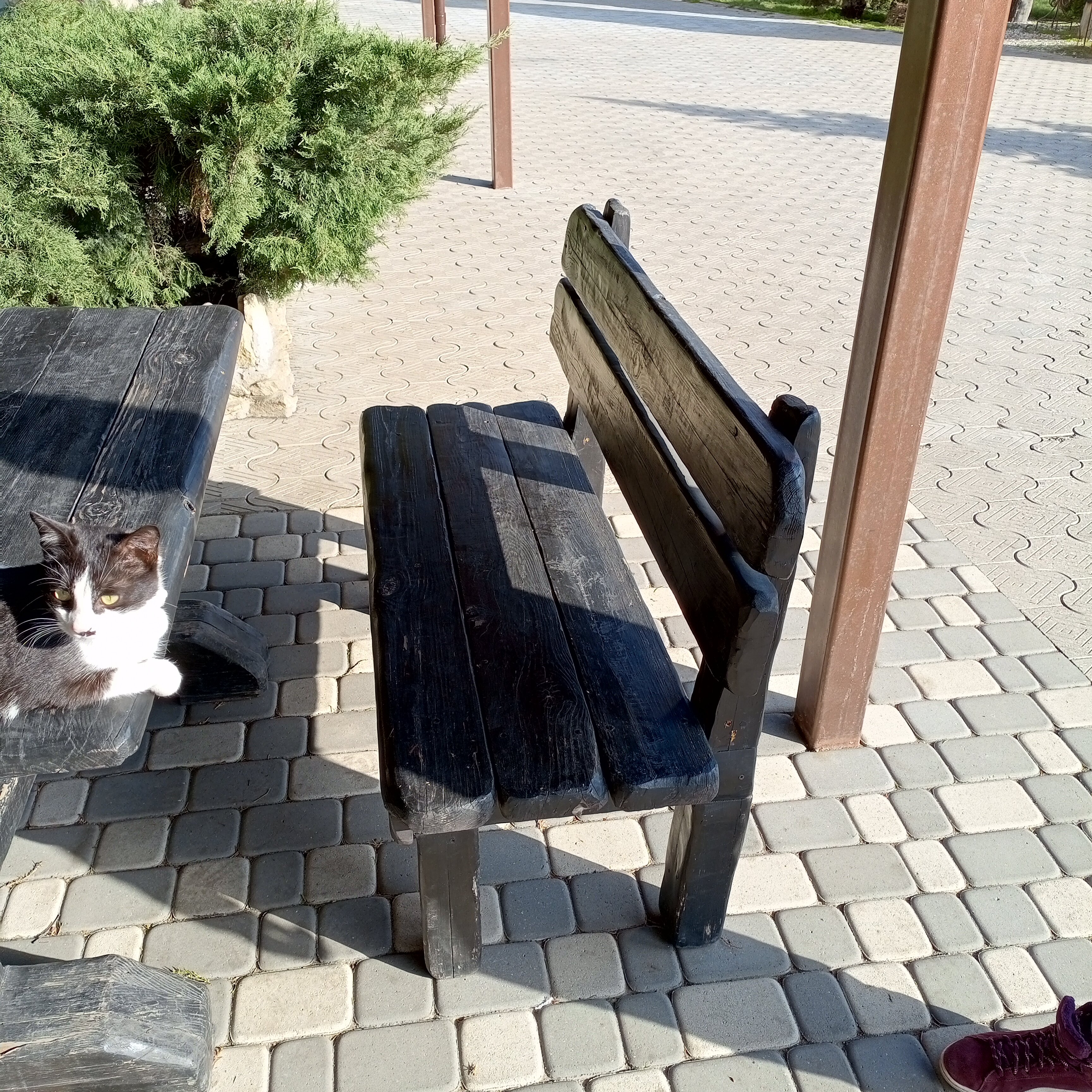 Фото Монест