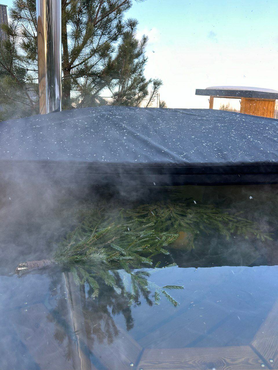 Фото Лес и Волга