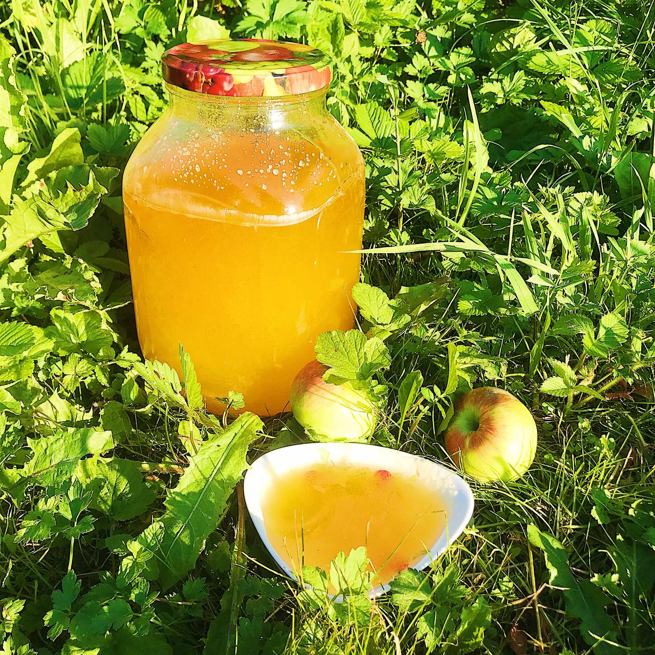 Фото ХоллиЛэнд 