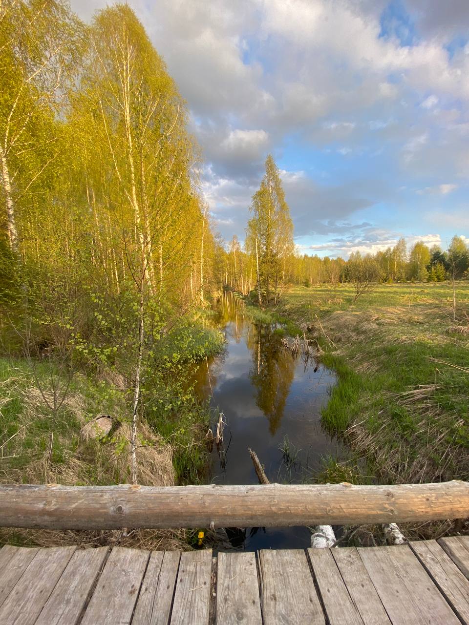 Фото ХоллиЛэнд 
