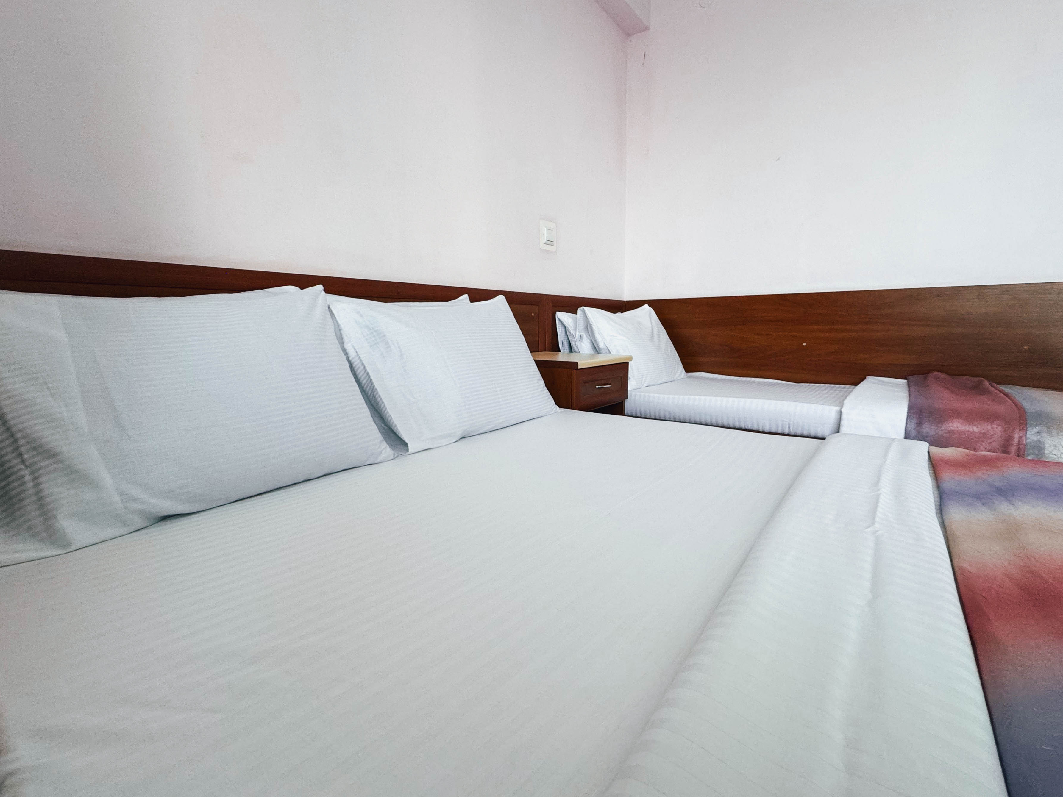 Фото Эдельвейс