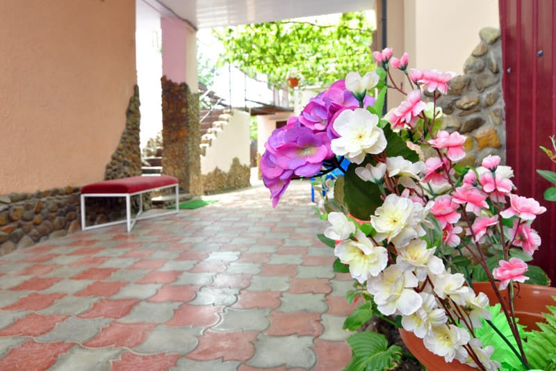 Фото Domashniy Ochag