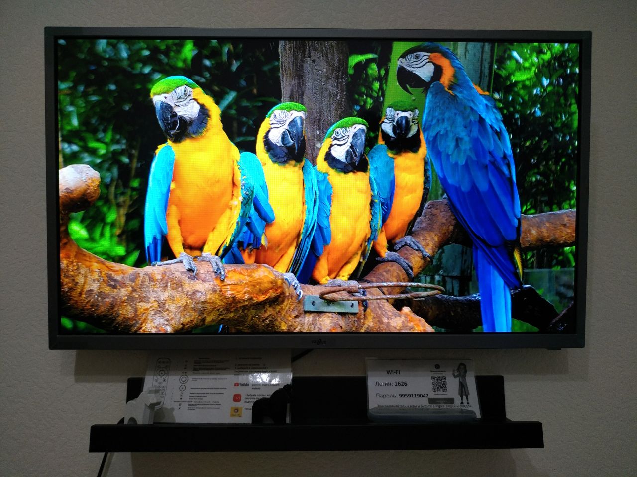 Фото Your New Apart