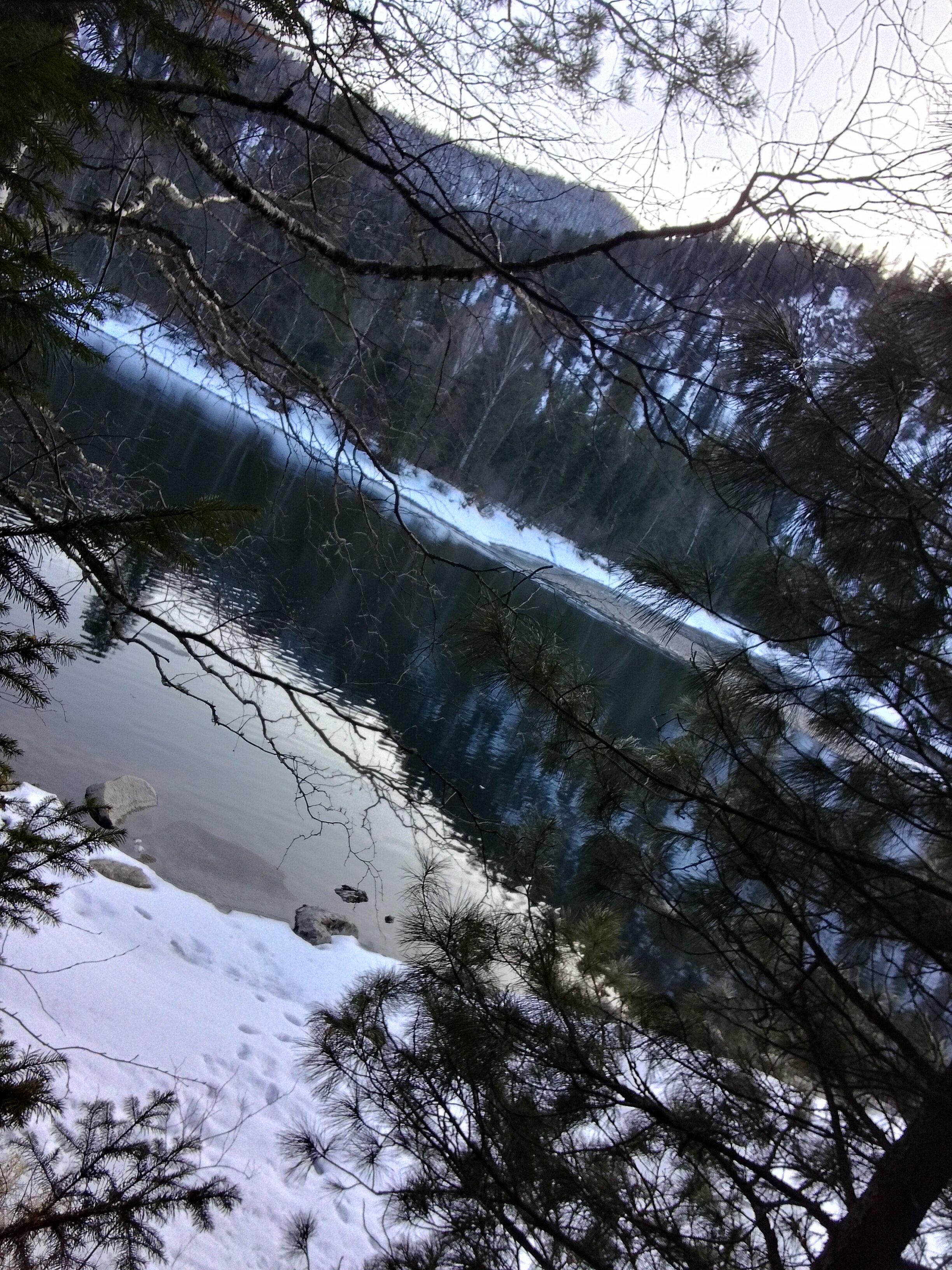 Фото Бия заповедная