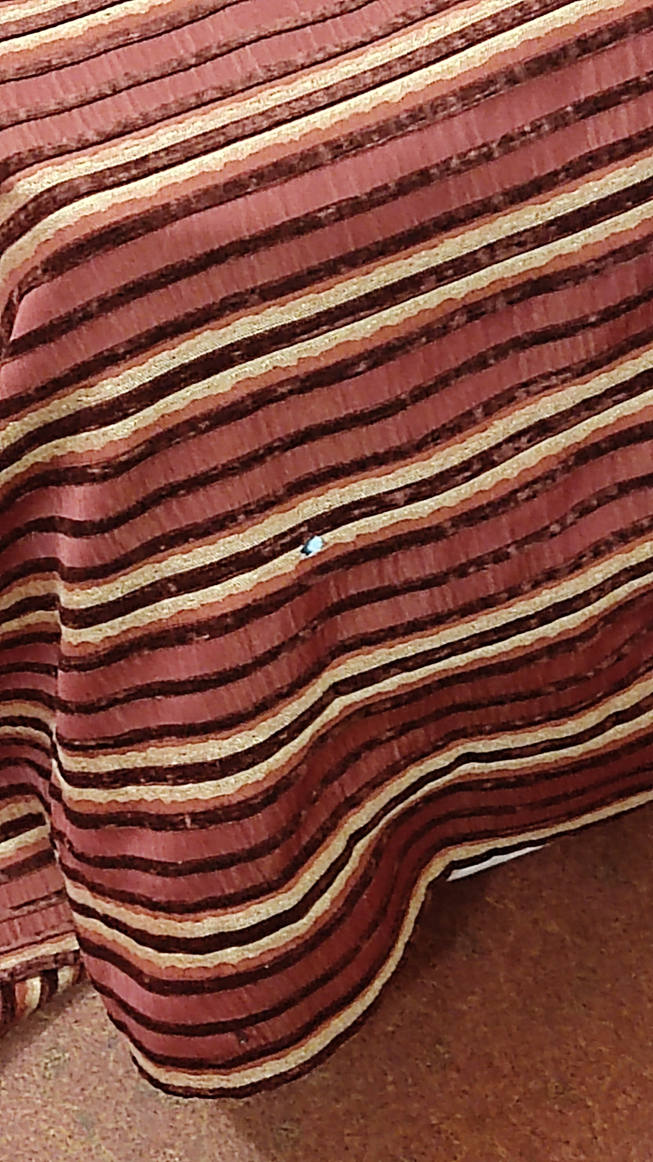 Фото Регина