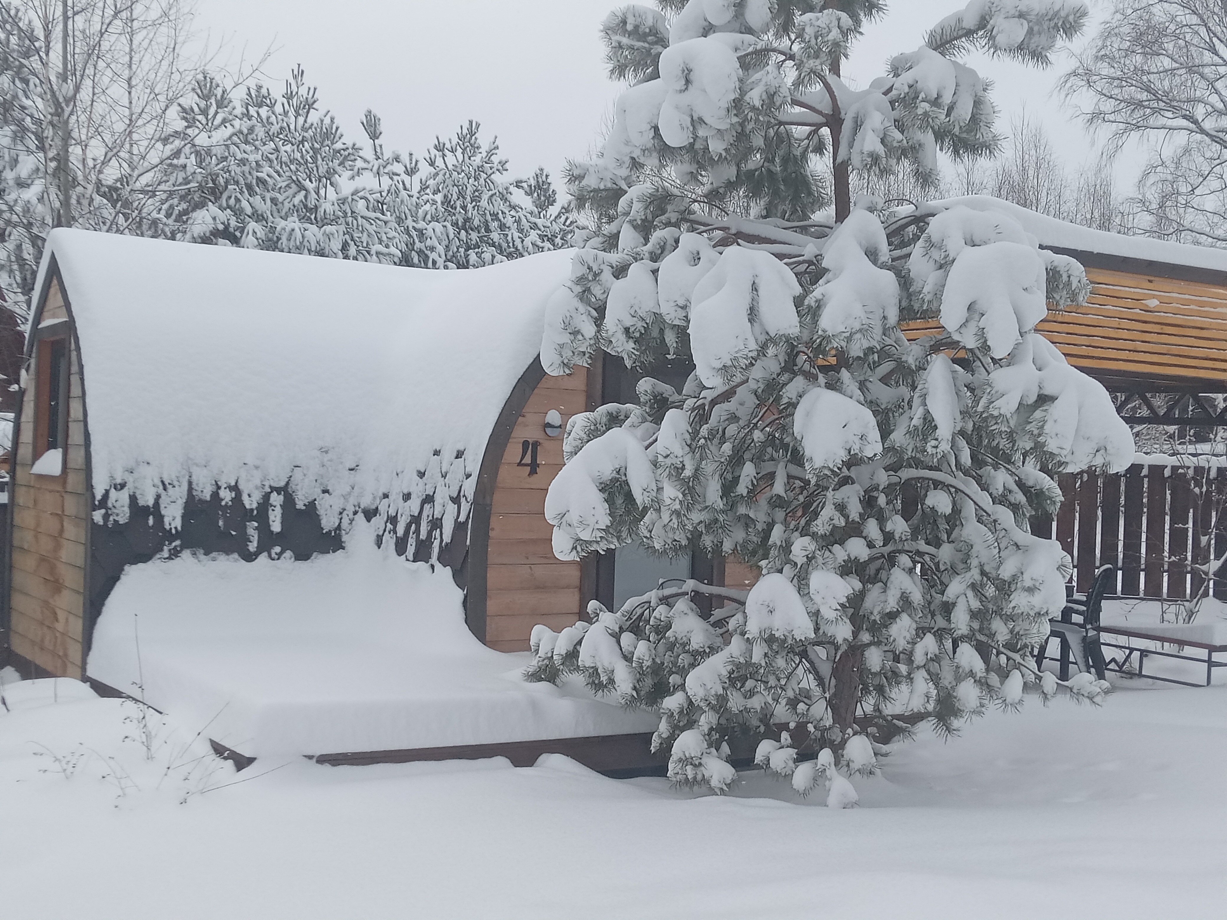 Фото Seven Лодж